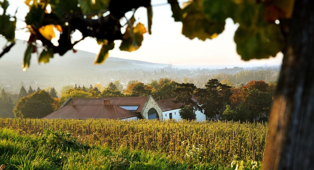 Hotel Castle Grof Degenfeld 4*